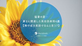 こう言うのが知りたかった 猫が教える 学校では絶対に教えてくれない英語フレーズ特別編 ワールドトークブログ